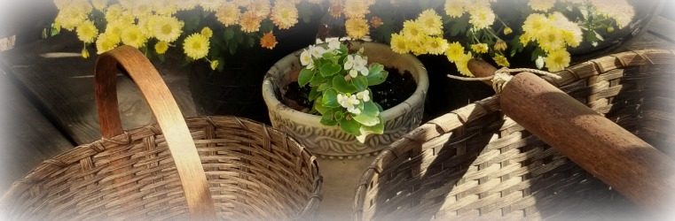 Petals from the Basket